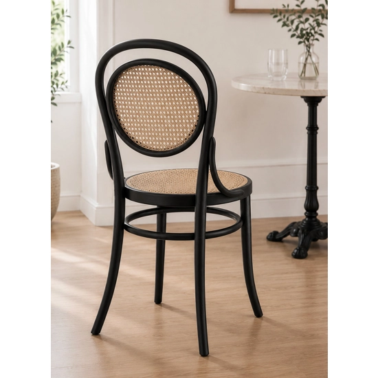 Vienna 50 Viennese chairs Progetto Sedia